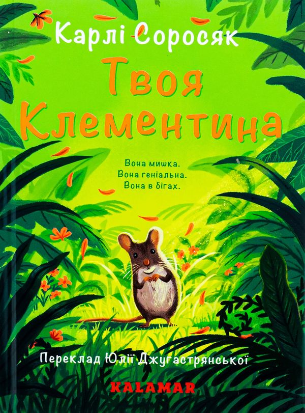 Книга Твоя Клементина